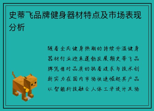 史蒂飞品牌健身器材特点及市场表现分析