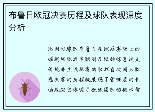 布鲁日欧冠决赛历程及球队表现深度分析