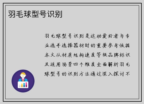 羽毛球型号识别
